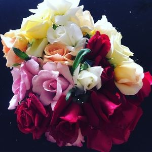 Meet your Posher, Annabel